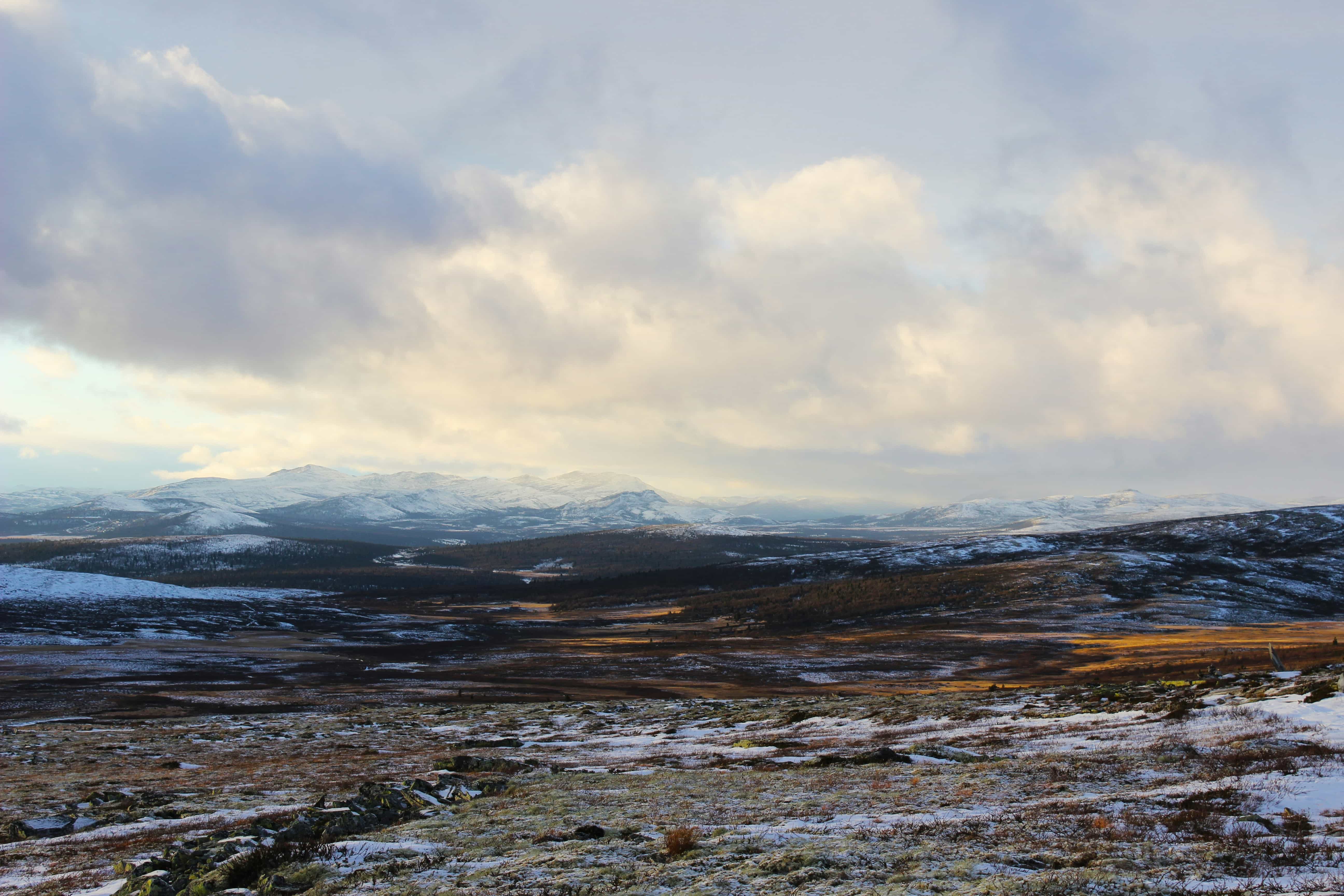 Featured image for Beyond Extraction – How Oil Drilling Leaves a Permanent Mark on Arctic Tundra