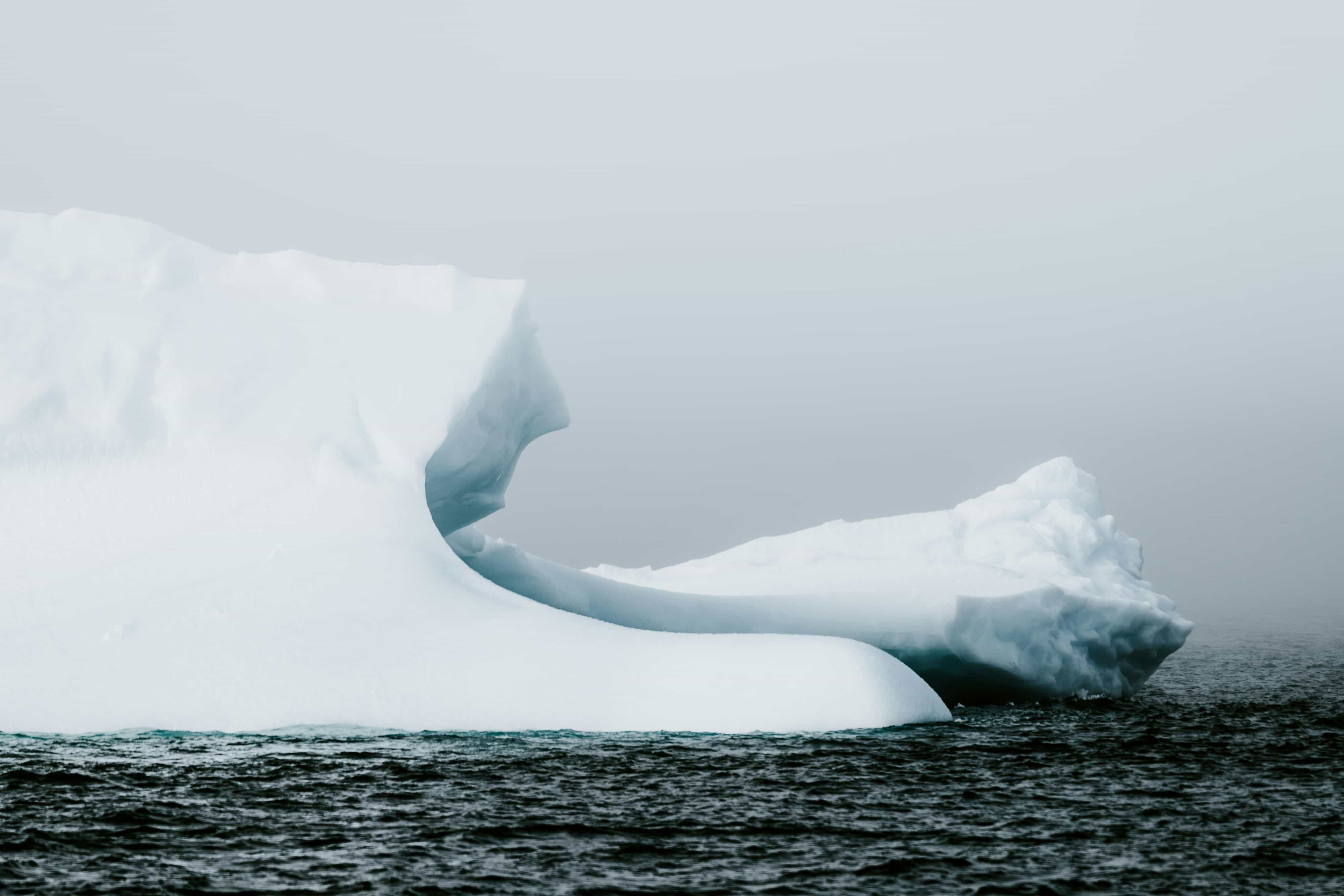 Featured image for Melting Ice, Changing Ecosystems - The Hidden Lives of Arctic Microbes