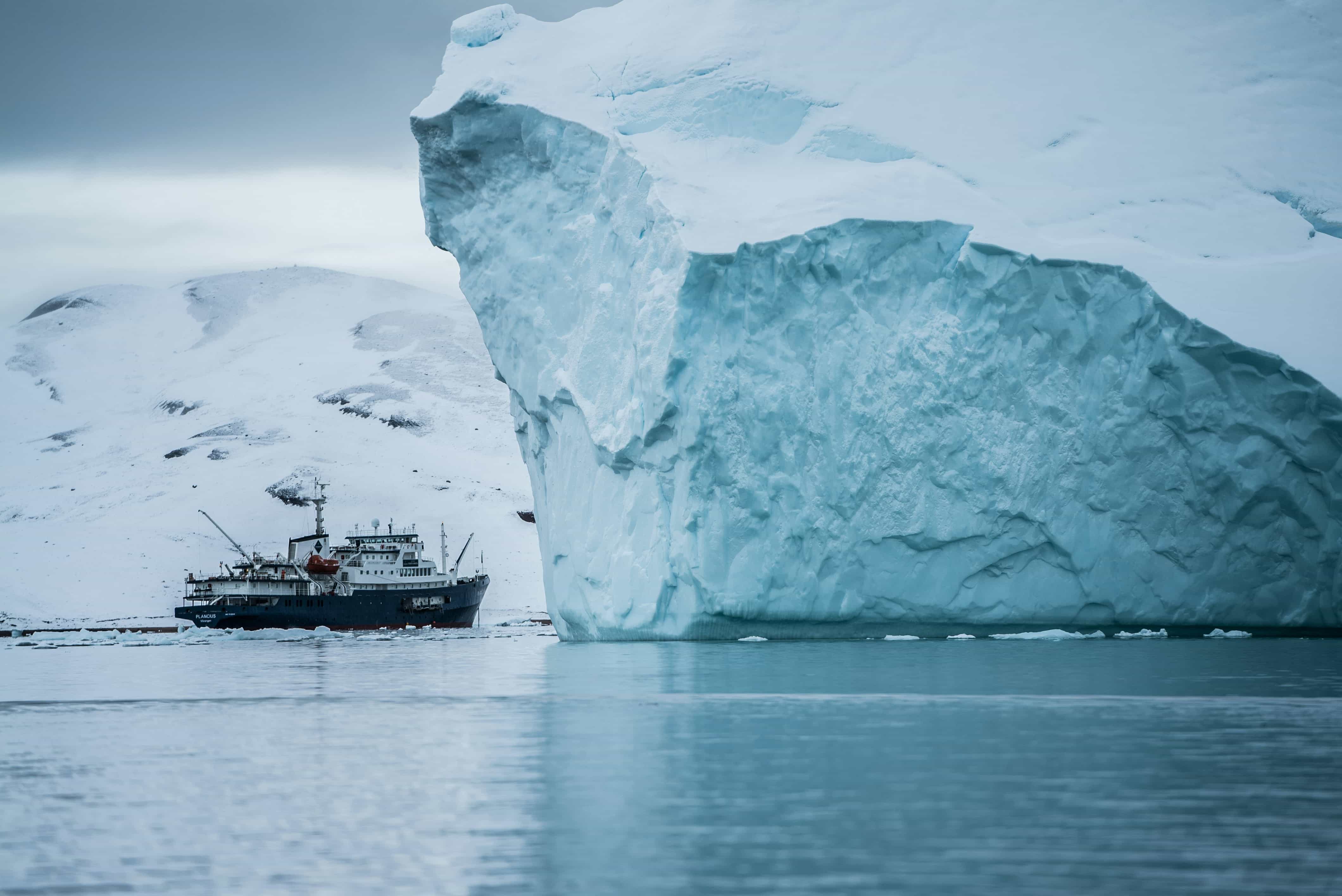 Featured image for Arctic Ice Is Becoming Smoother - And That’s Changing the Ecosystem