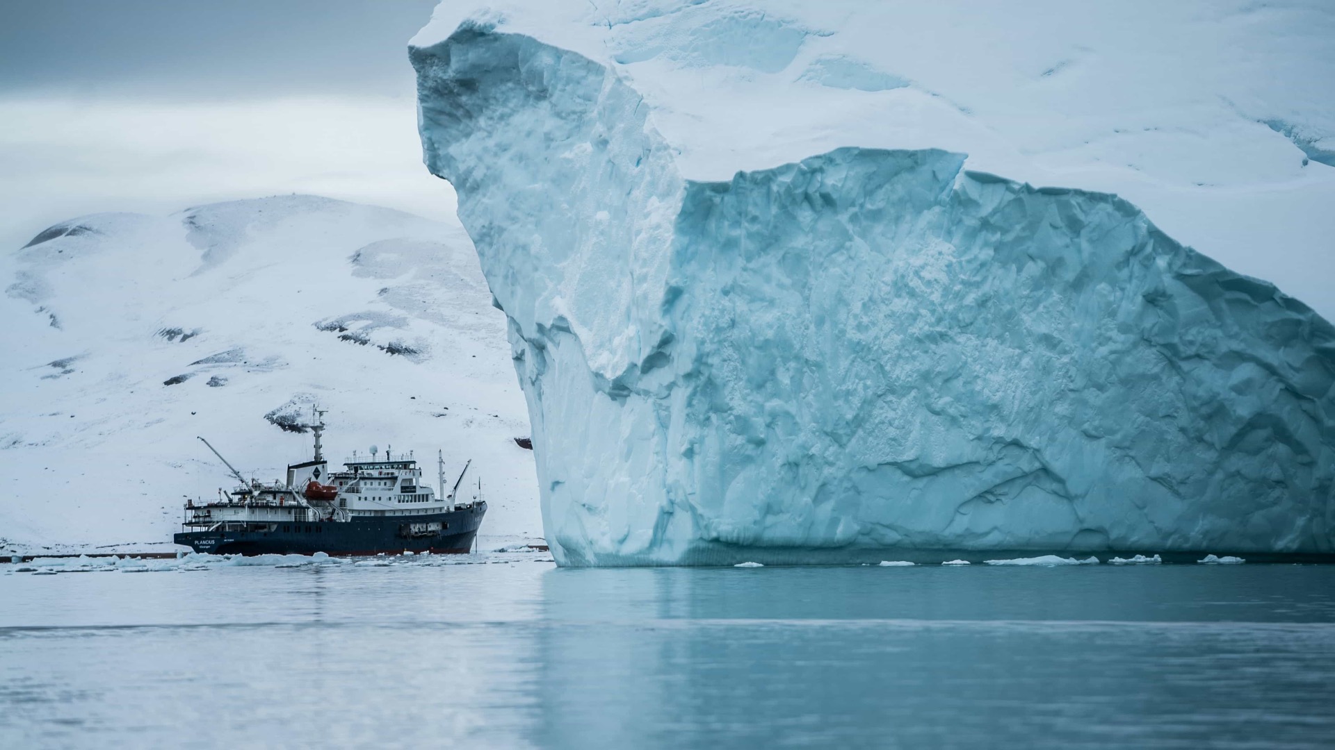 Thumbnail for Arctic Ice Is Becoming Smoother - And That’s Changing the Ecosystem