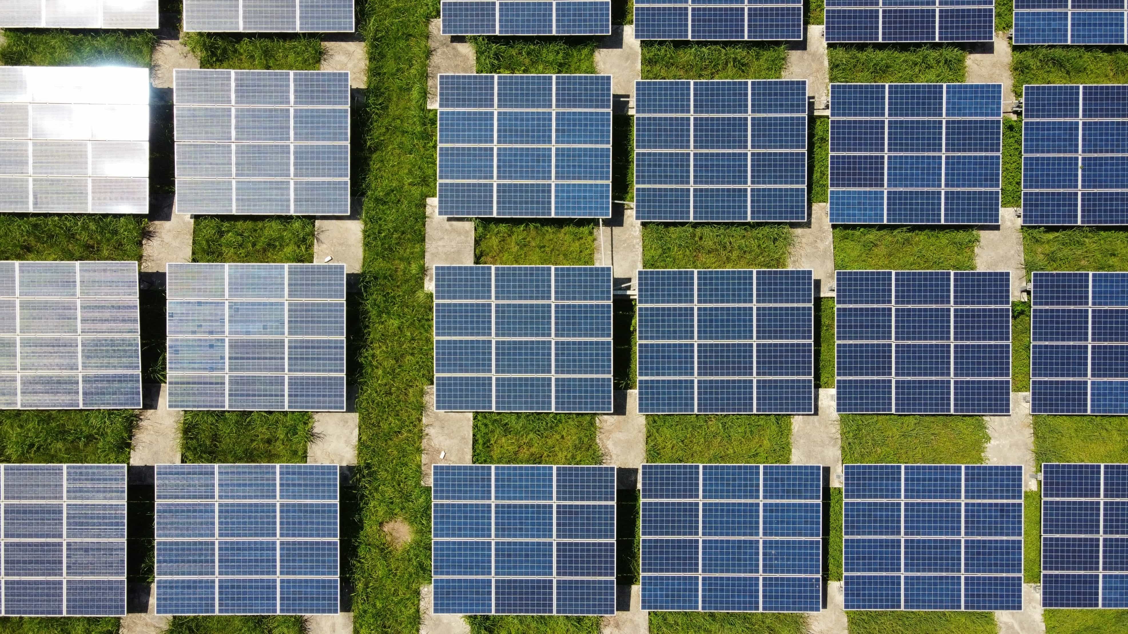 Rows of solar panels on a sunny day, generating green energy.